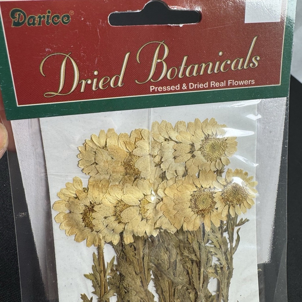 Botanical - Real Pressed & Dried Flower Sticker Crafts Flowers